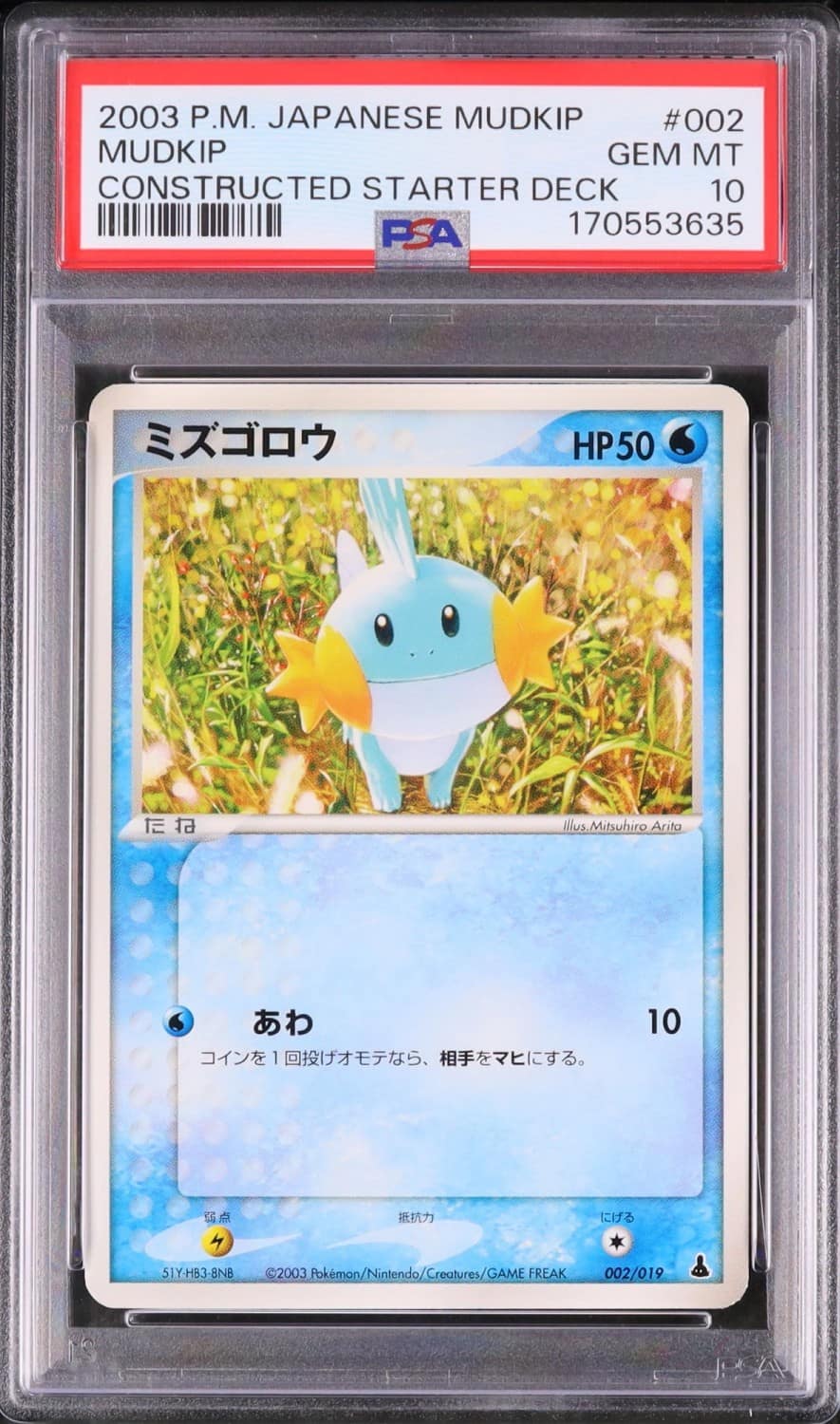 Mudkip