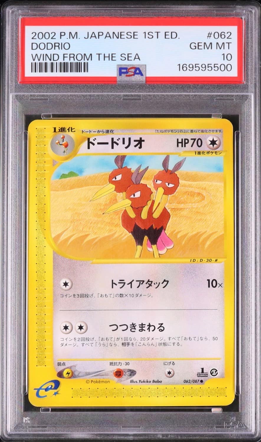 Dodrio