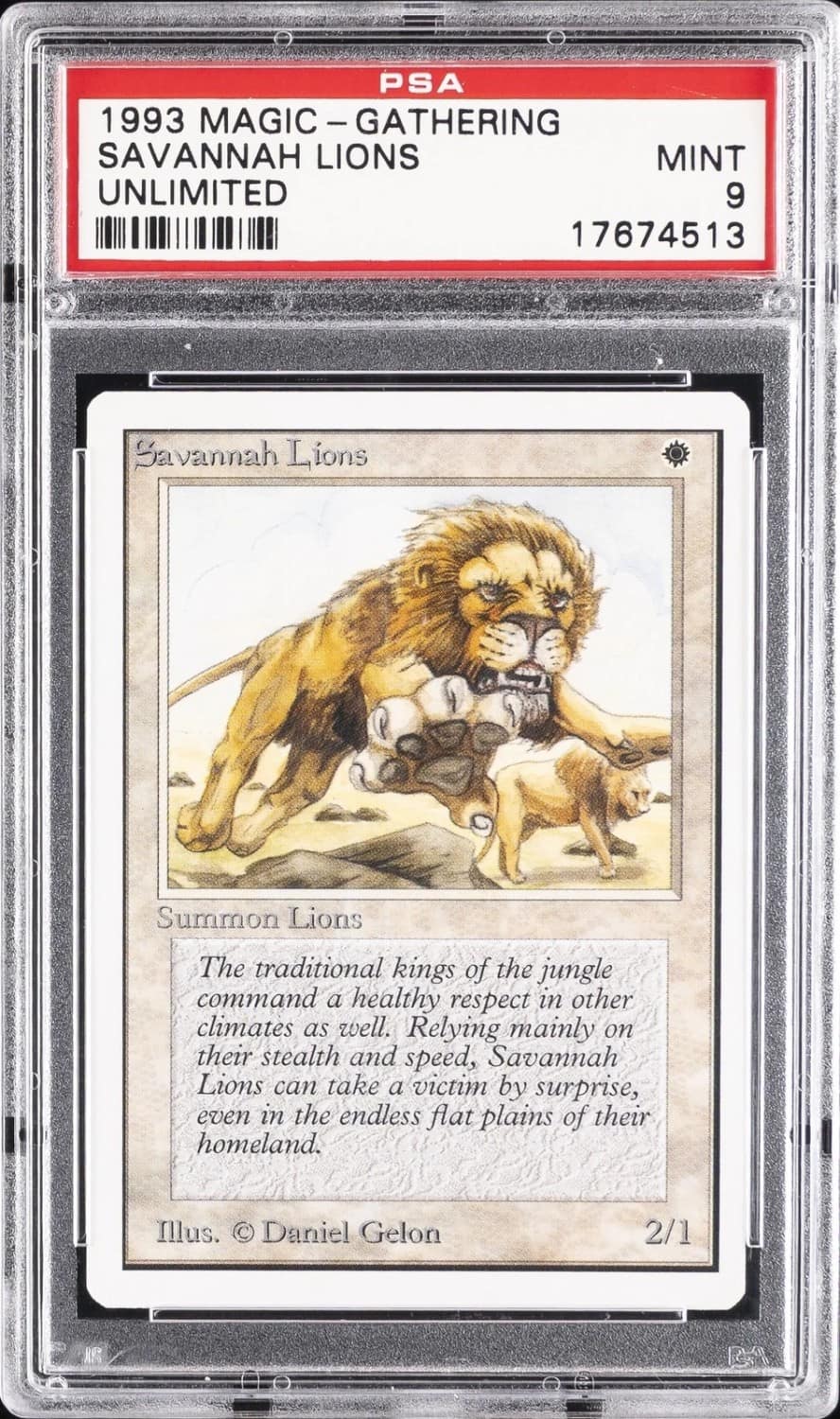 Savannah Lions