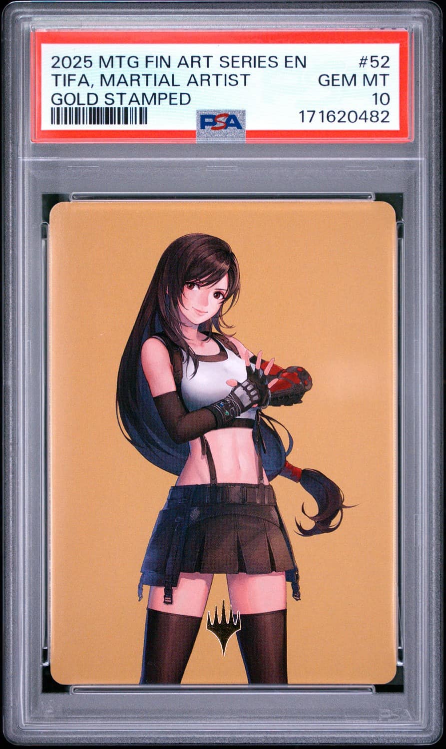 Tifa, Martial Artist