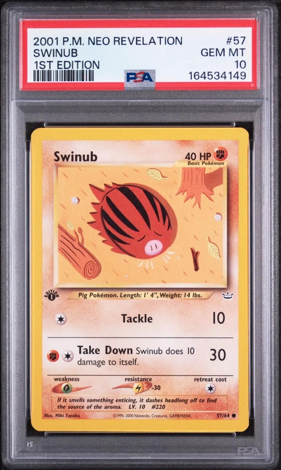 Swinub