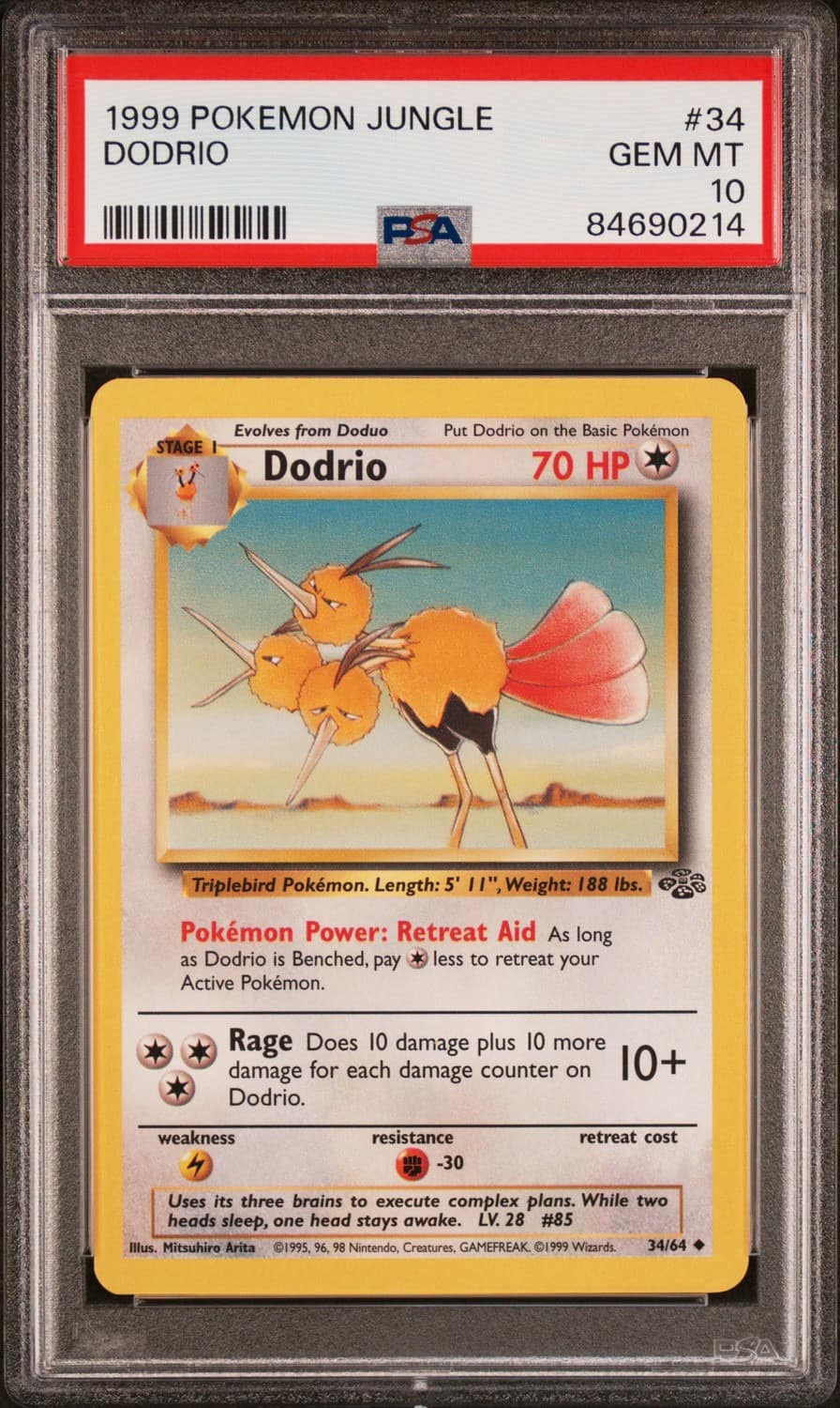 Dodrio