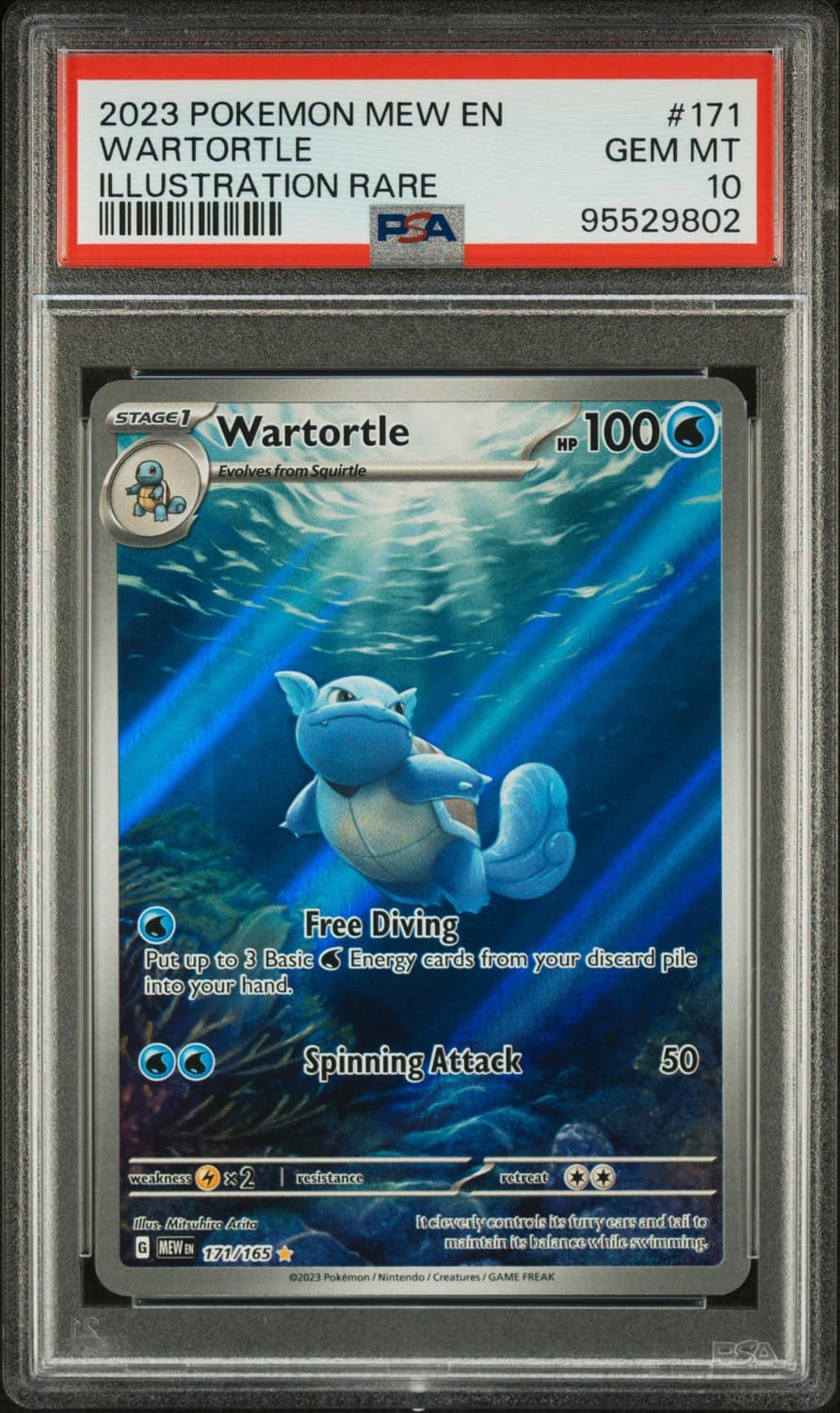 Wartortle