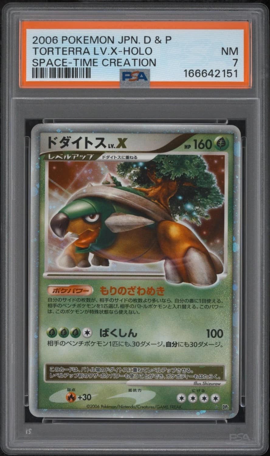 Torterra Lv X