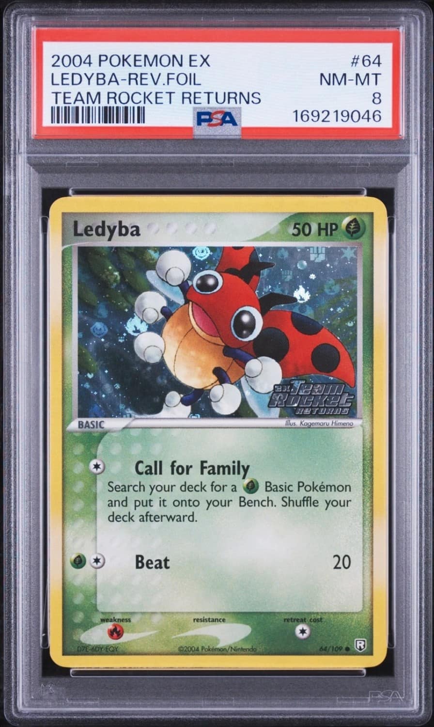 Ledyba