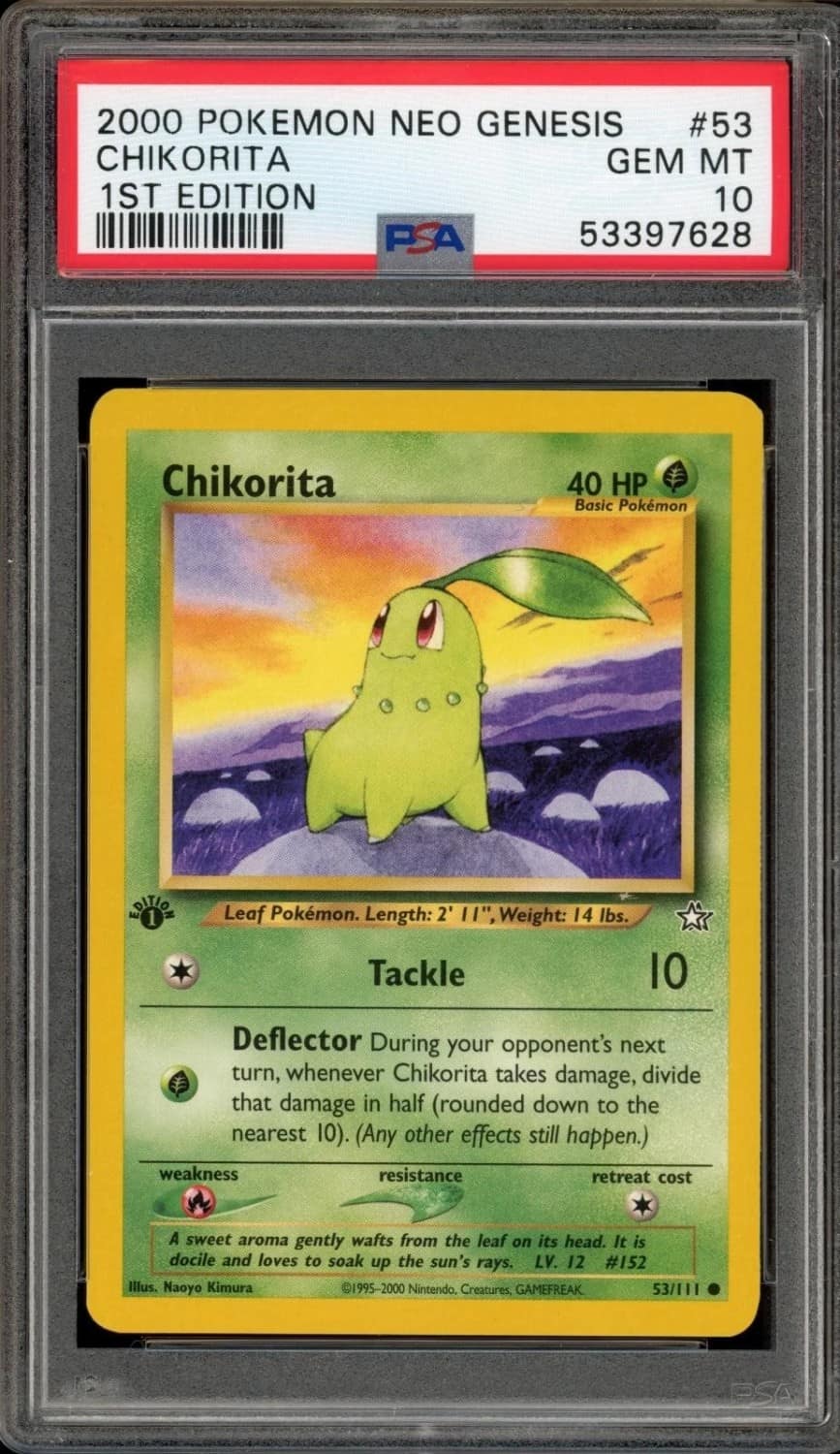 Chikorita