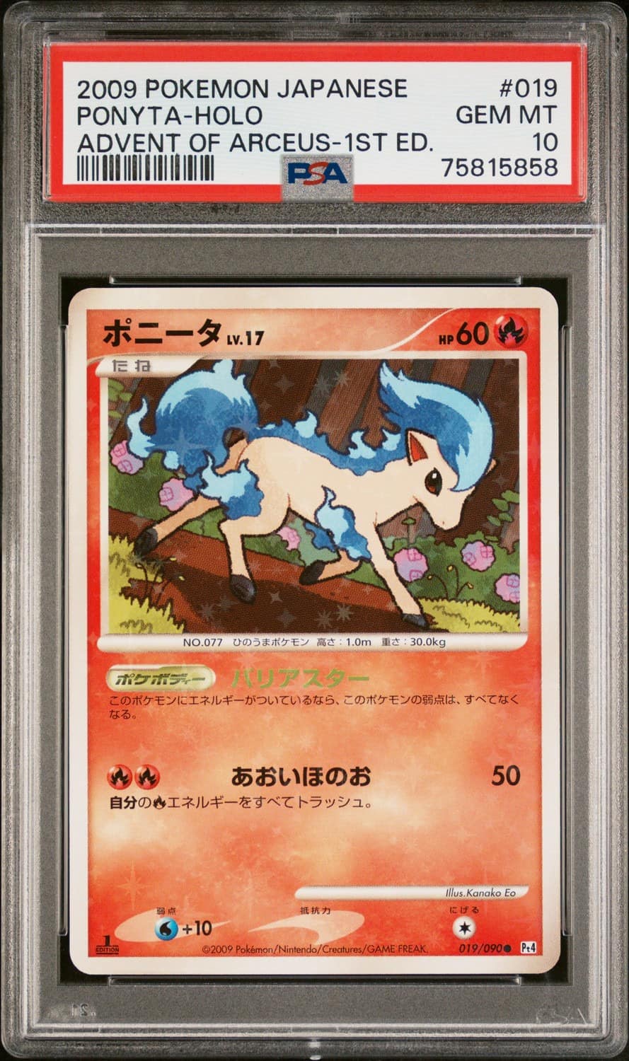 Ponyta