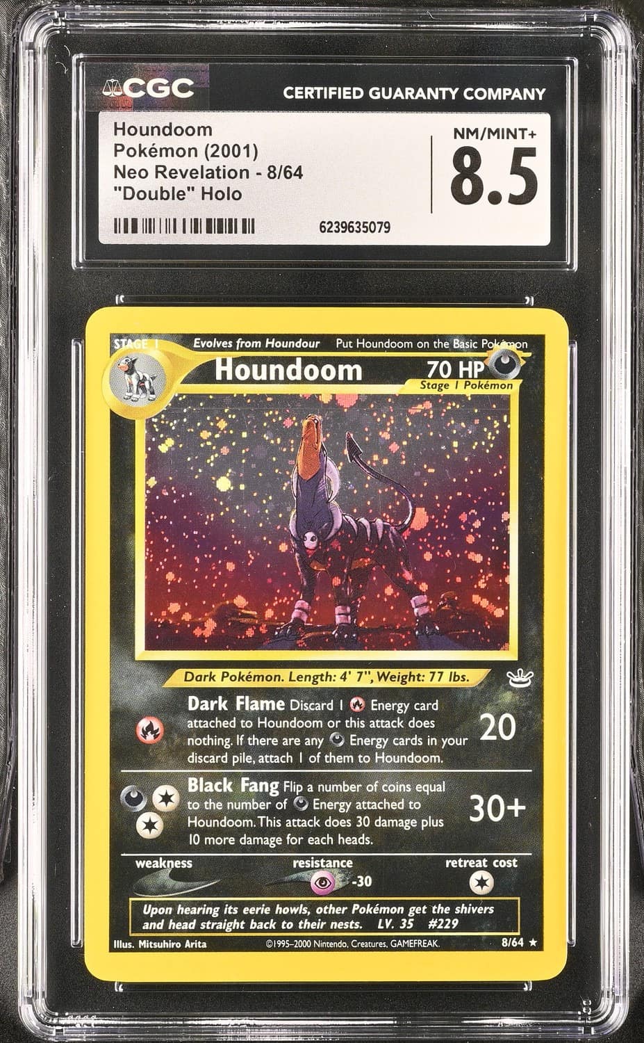 Houndoom
