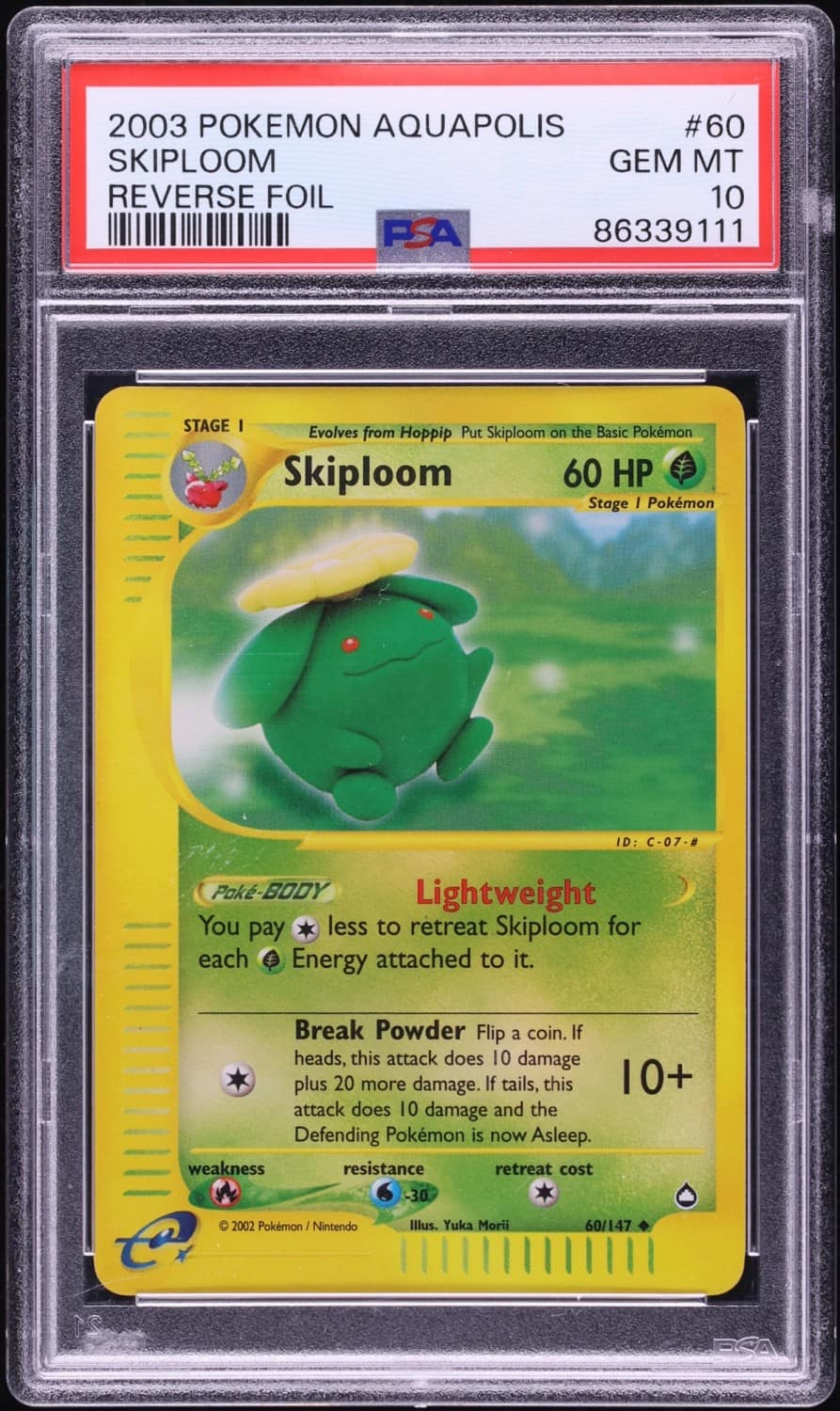 Skiploom