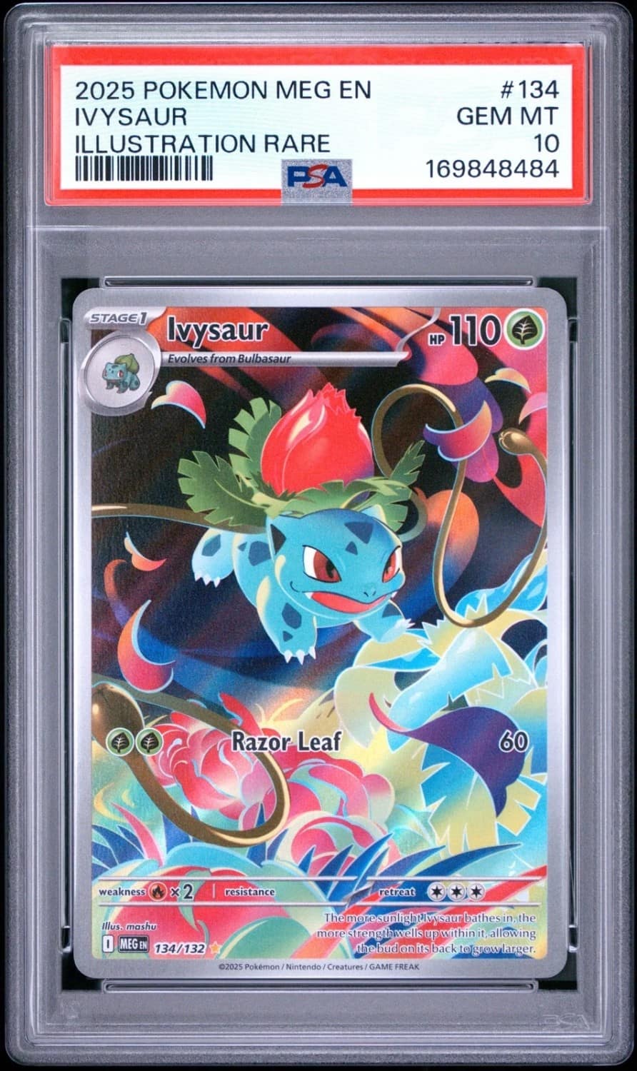 Ivysaur