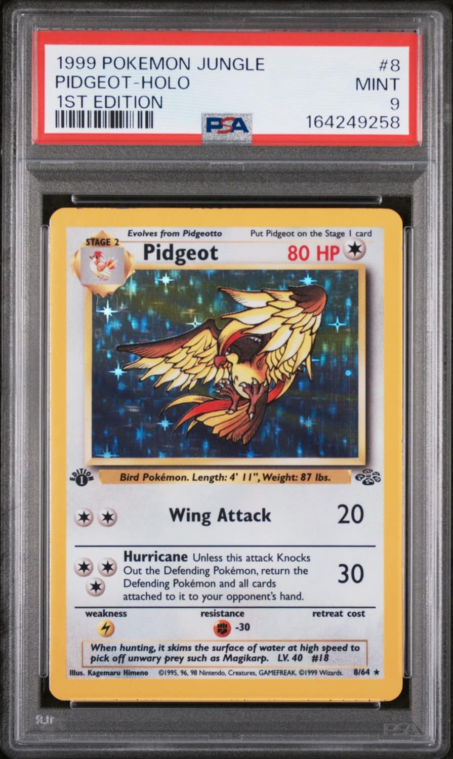 Pidgeot