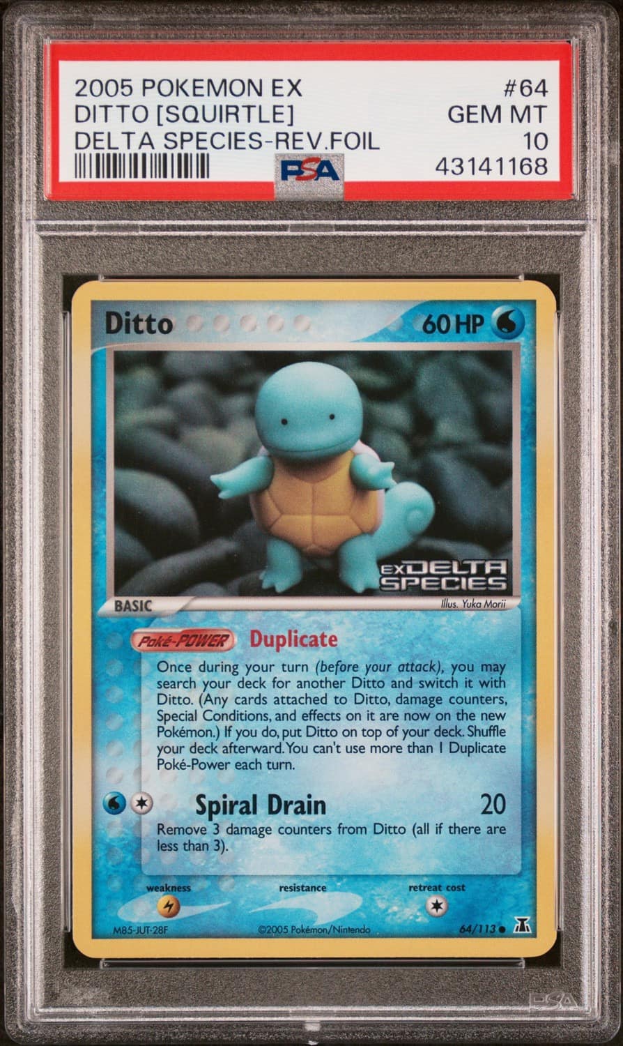 Ditto [squirtle]