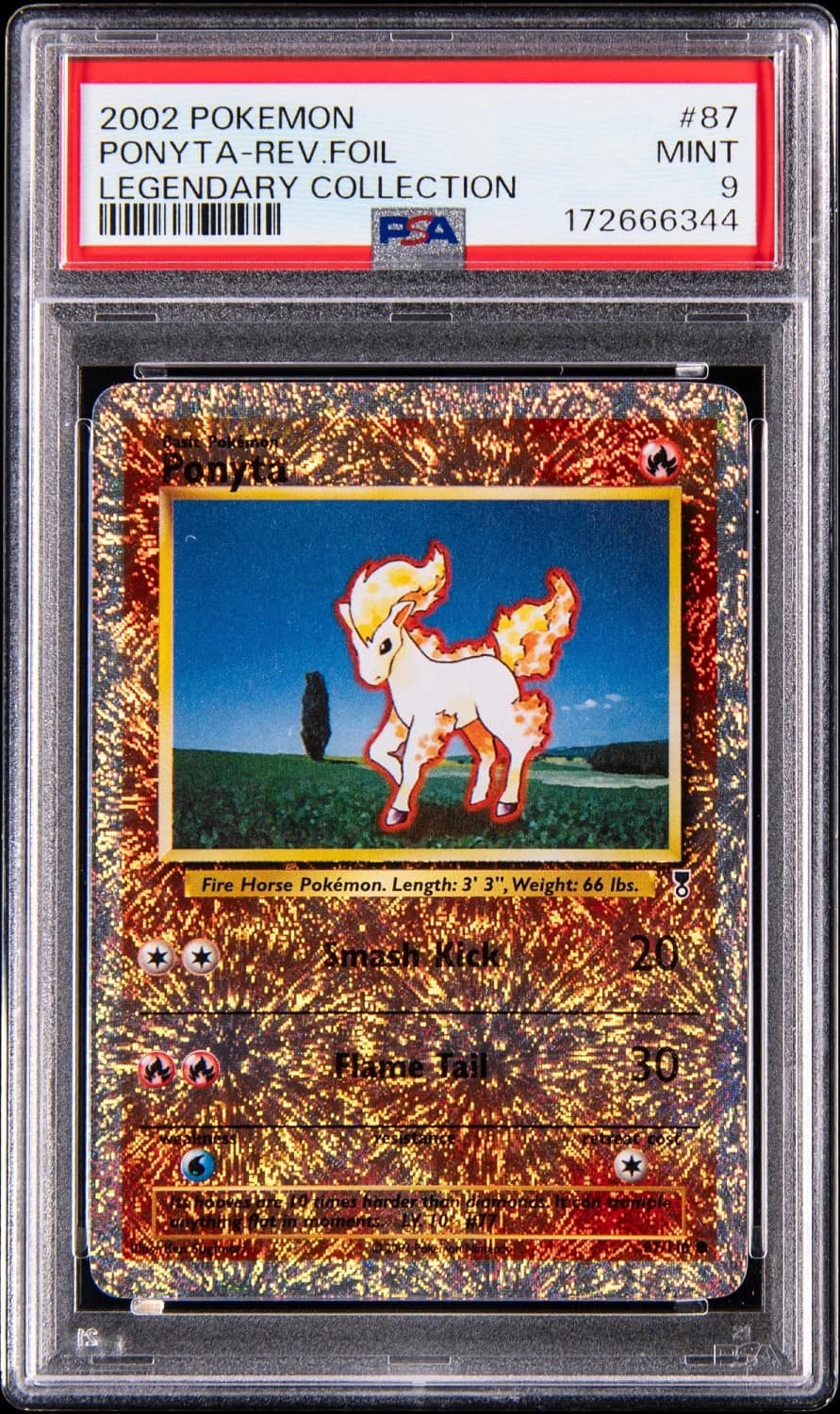Ponyta