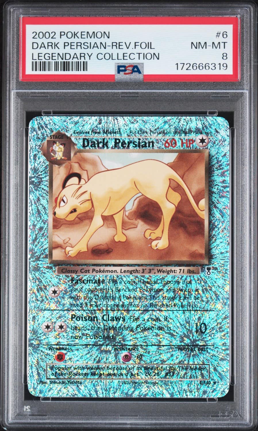 Dark Persian