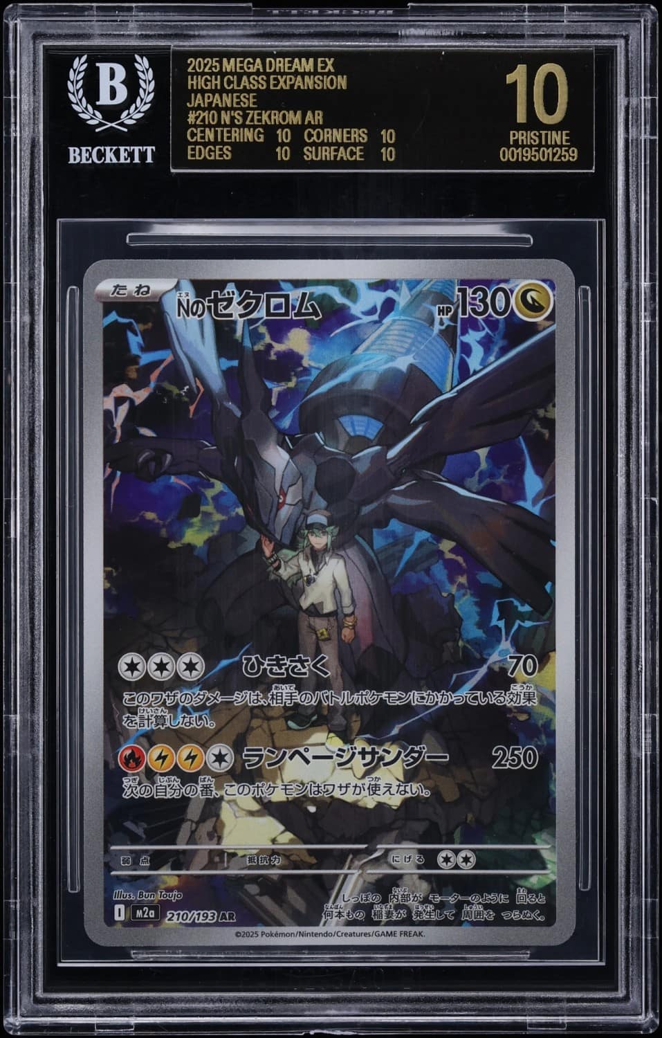 N'S Zekrom