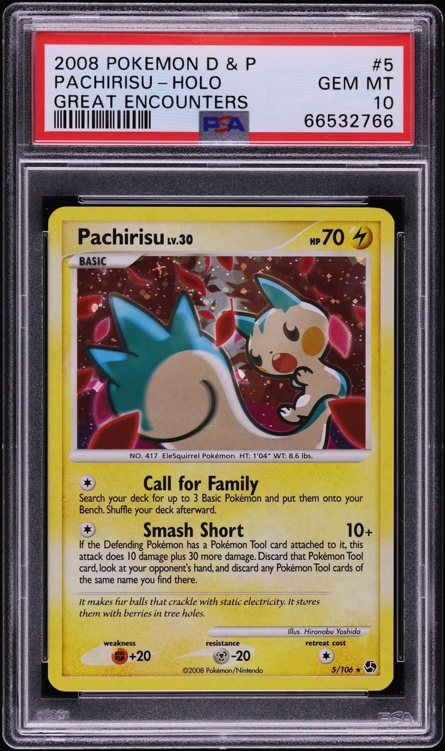 Pachirisu