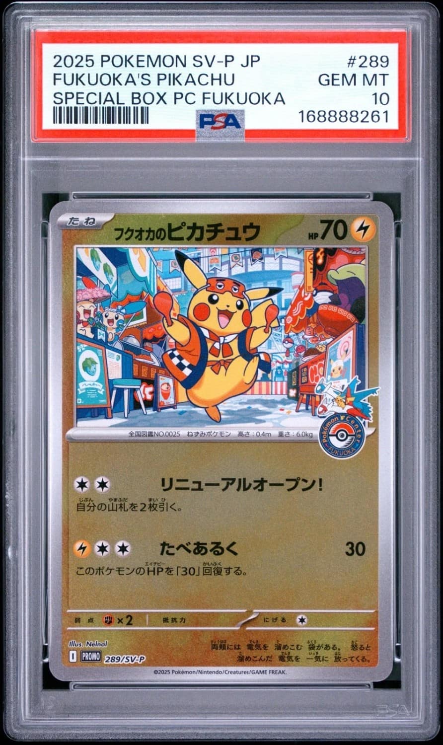 Fukuoka'S Pikachu
