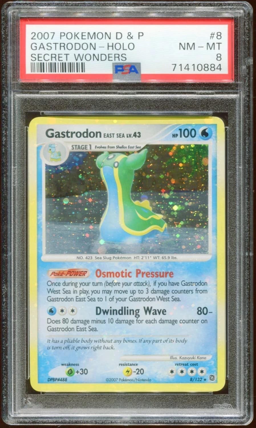 Gastrodon