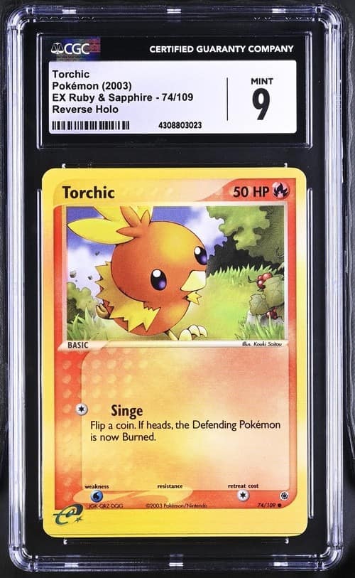 Torchic