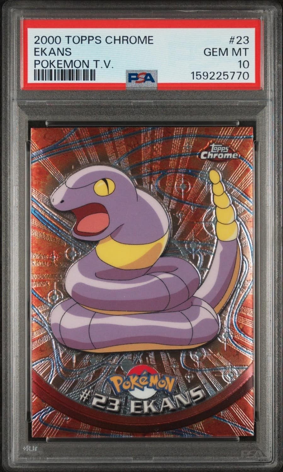 Ekans