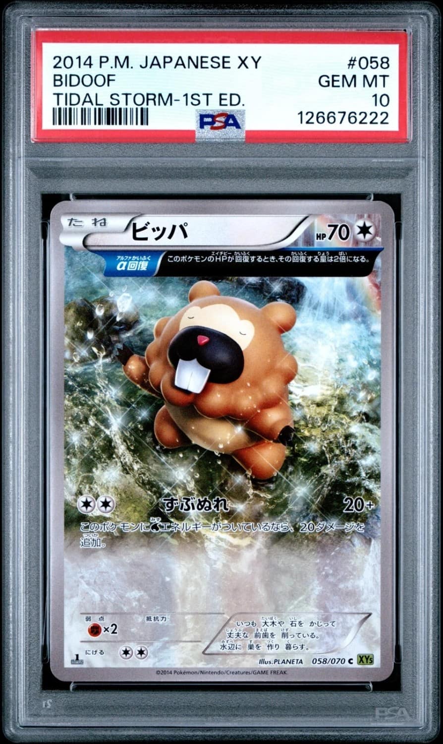 Bidoof