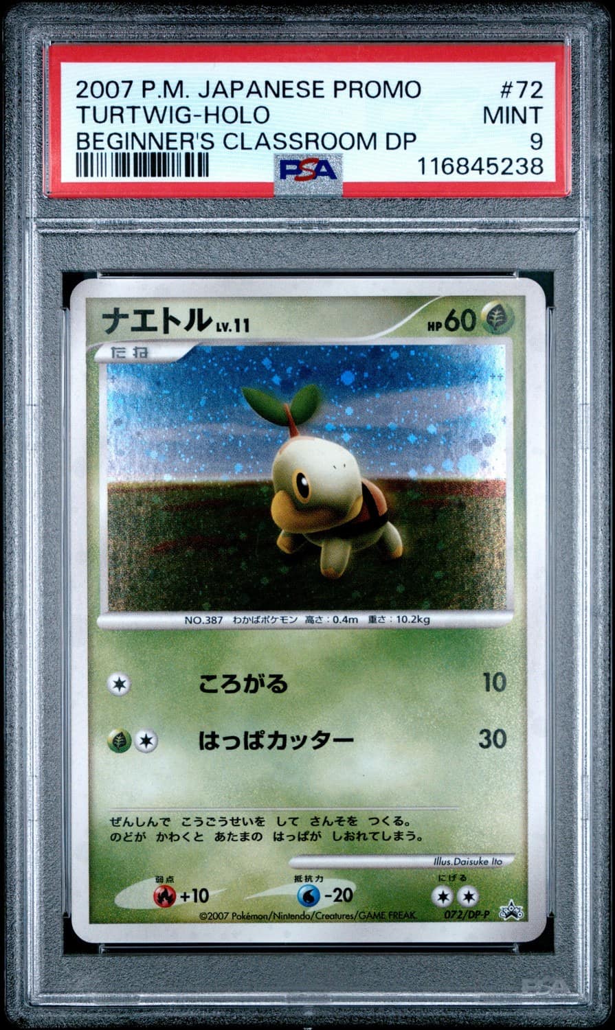 Turtwig