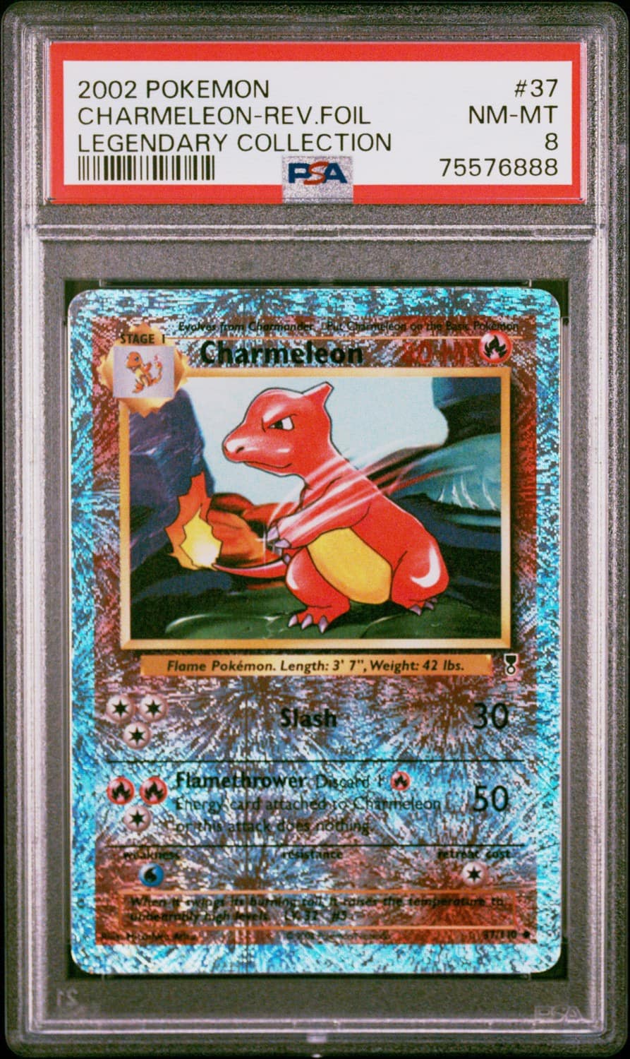 Charmeleon