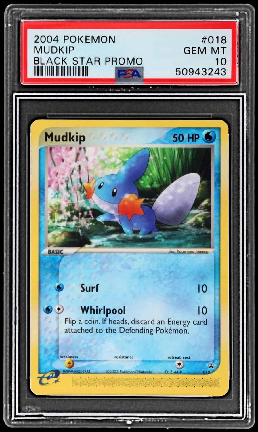 Mudkip