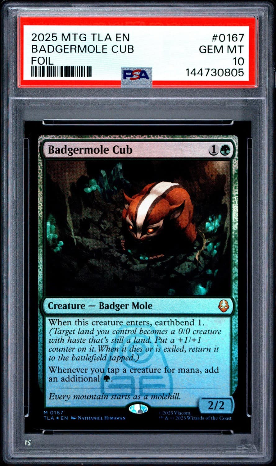 Badgermole Cub