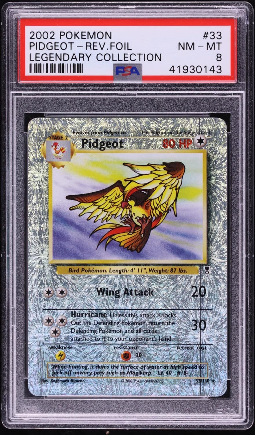 Pidgeot