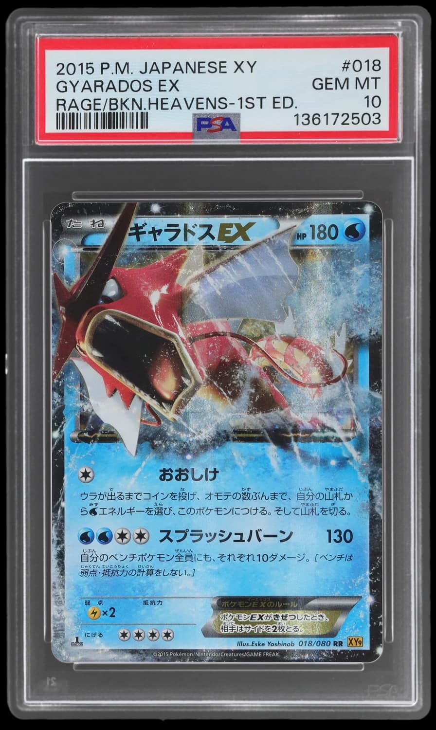 Gyarados Ex
