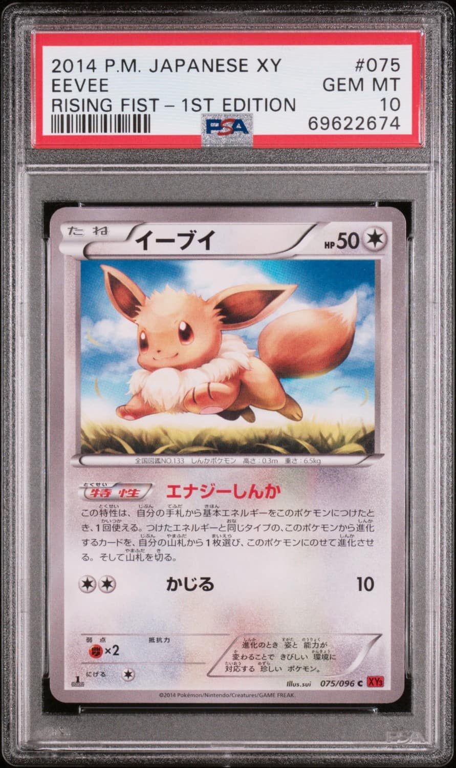 Eevee