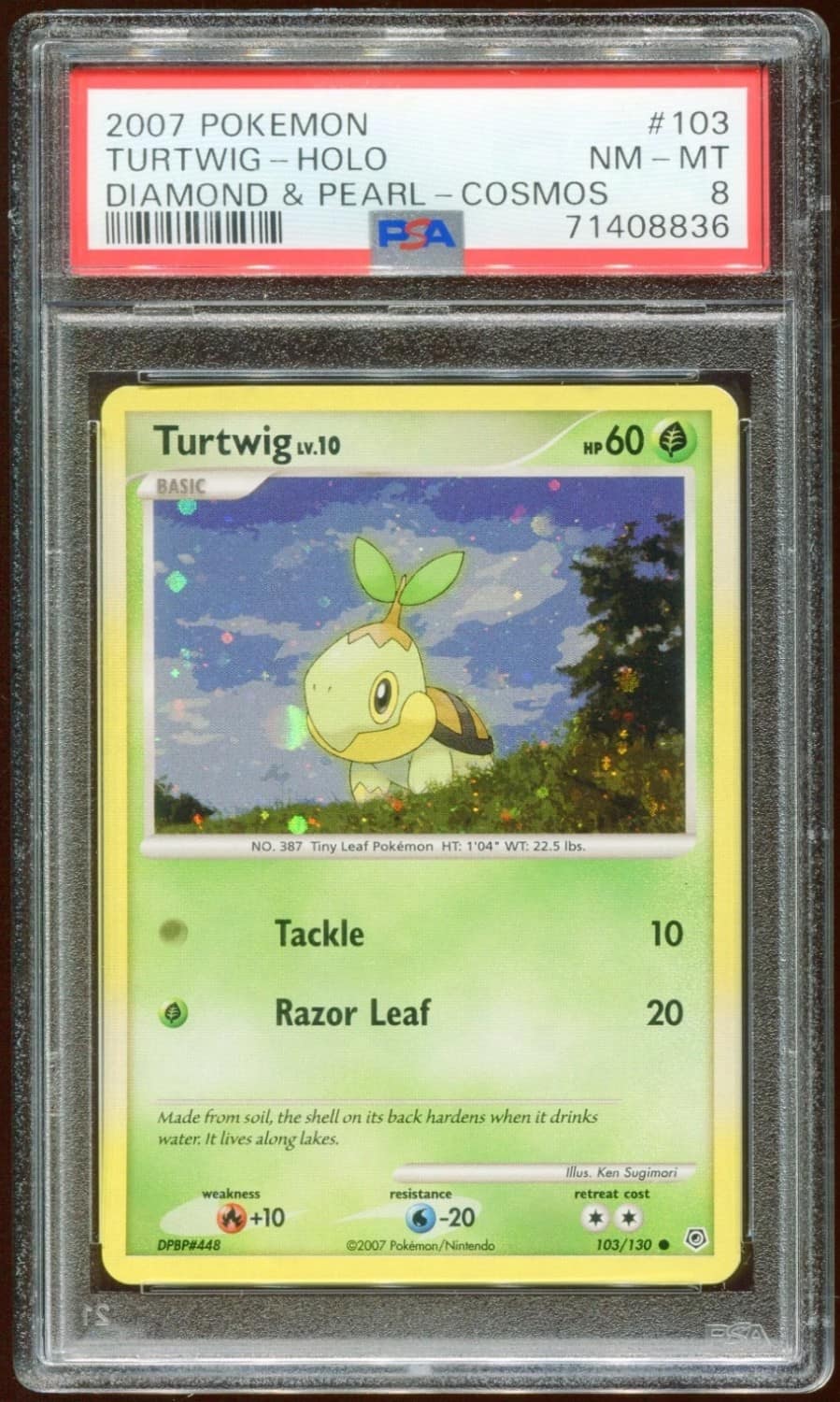 Turtwig