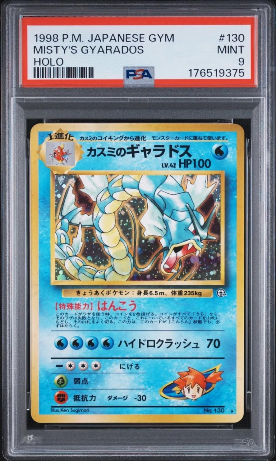 Misty'S Gyarados