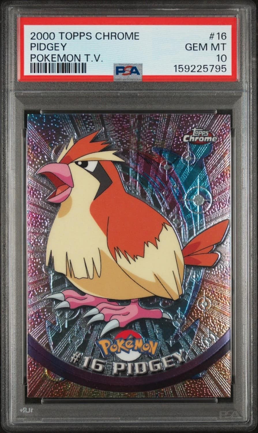 Pidgey