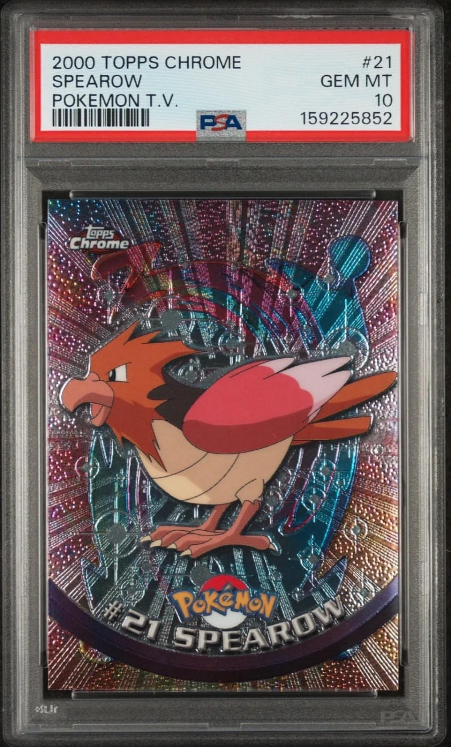 Spearow