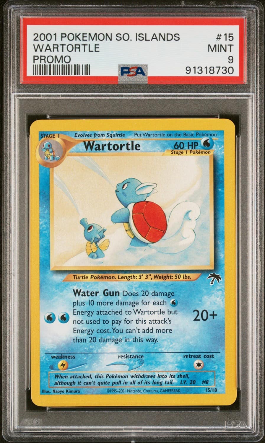 Wartortle