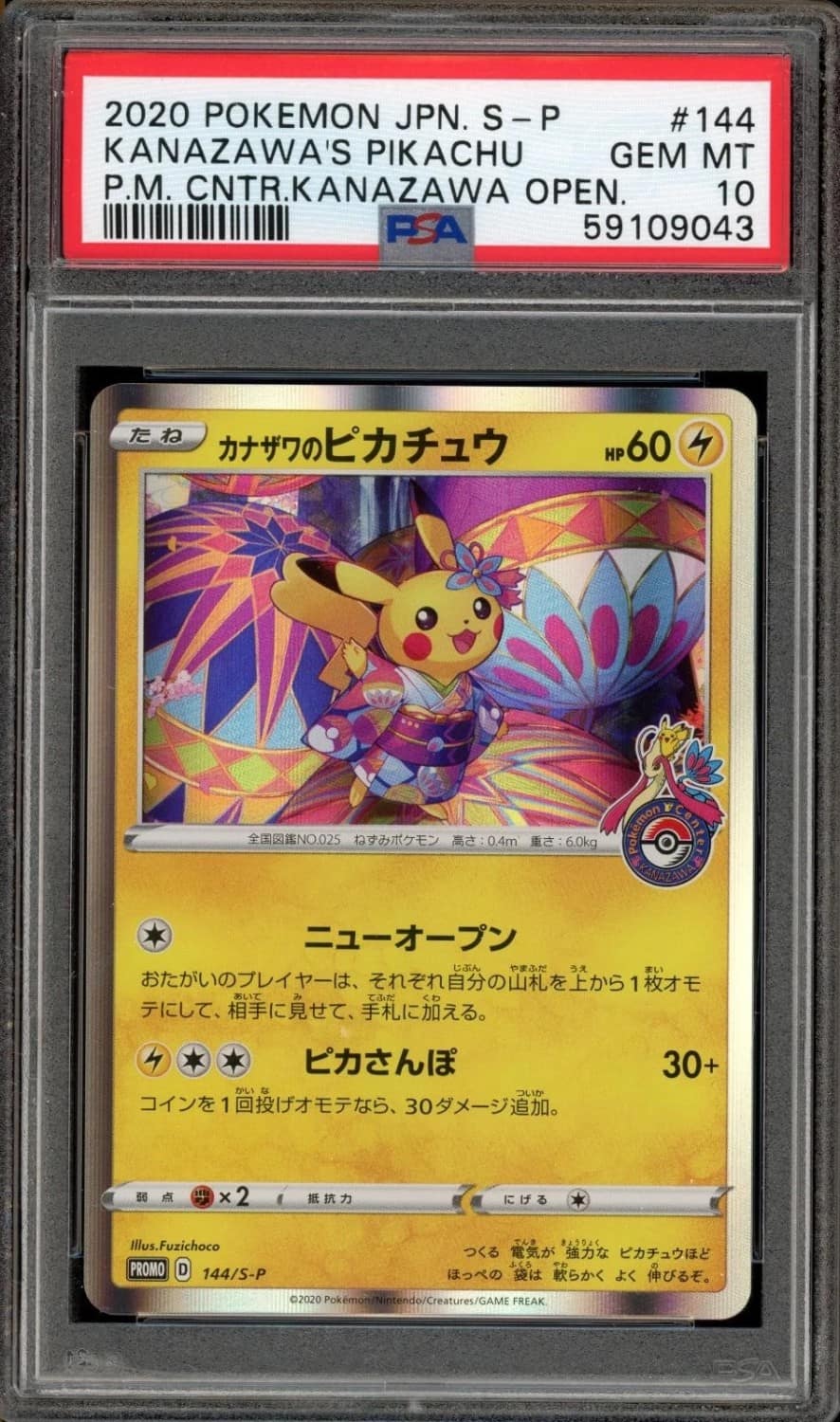 Kanazawa'S Pikachu