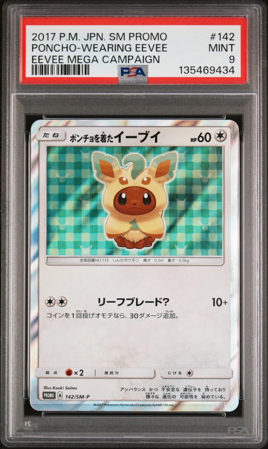 Poncho-Wearing Eevee