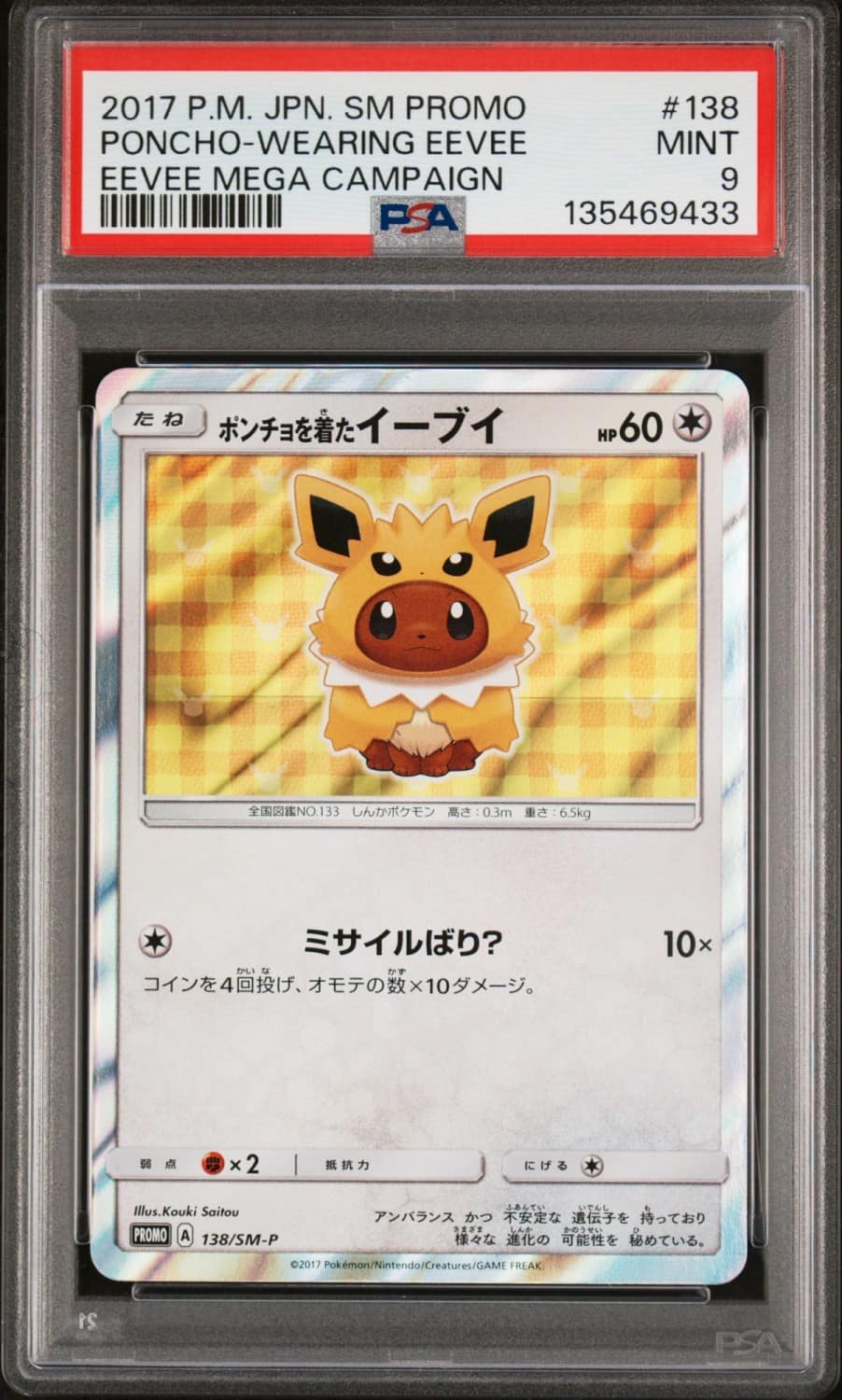 Poncho-Wearing Eevee