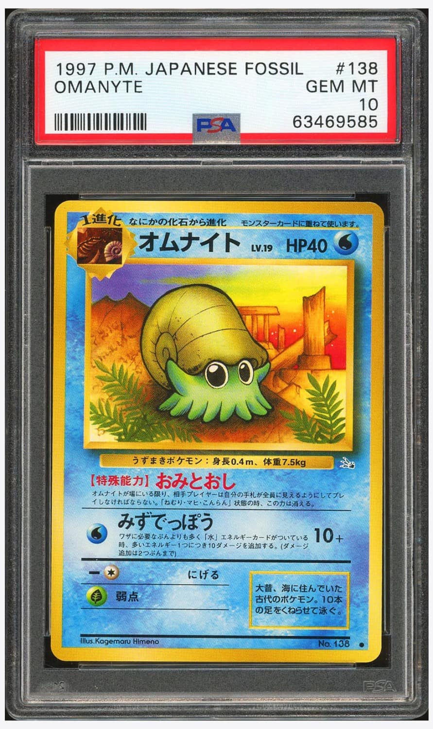 Omanyte
