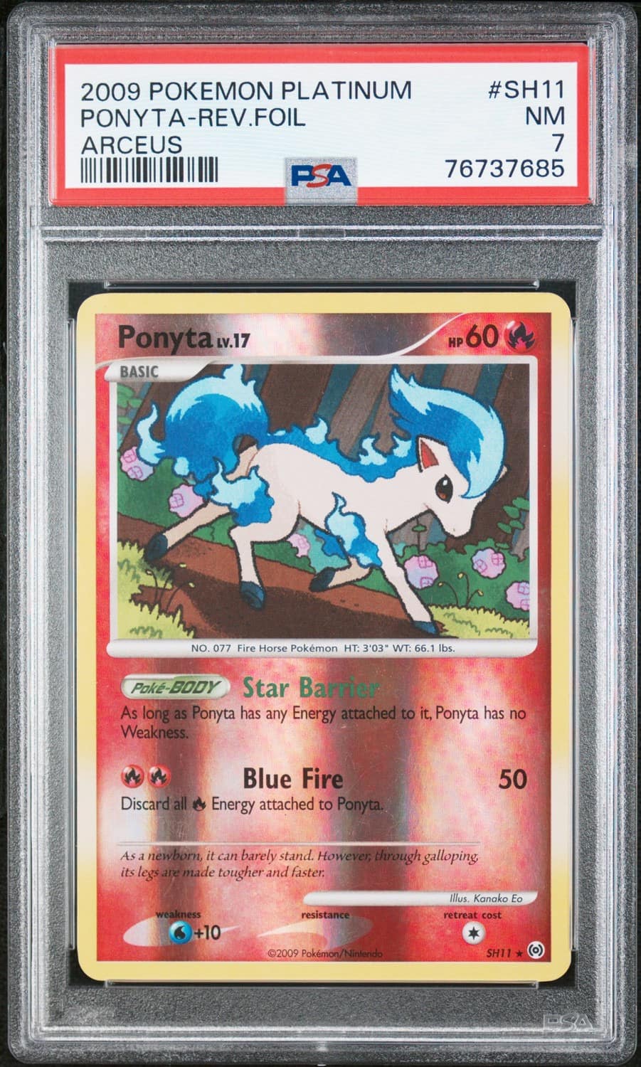 Ponyta