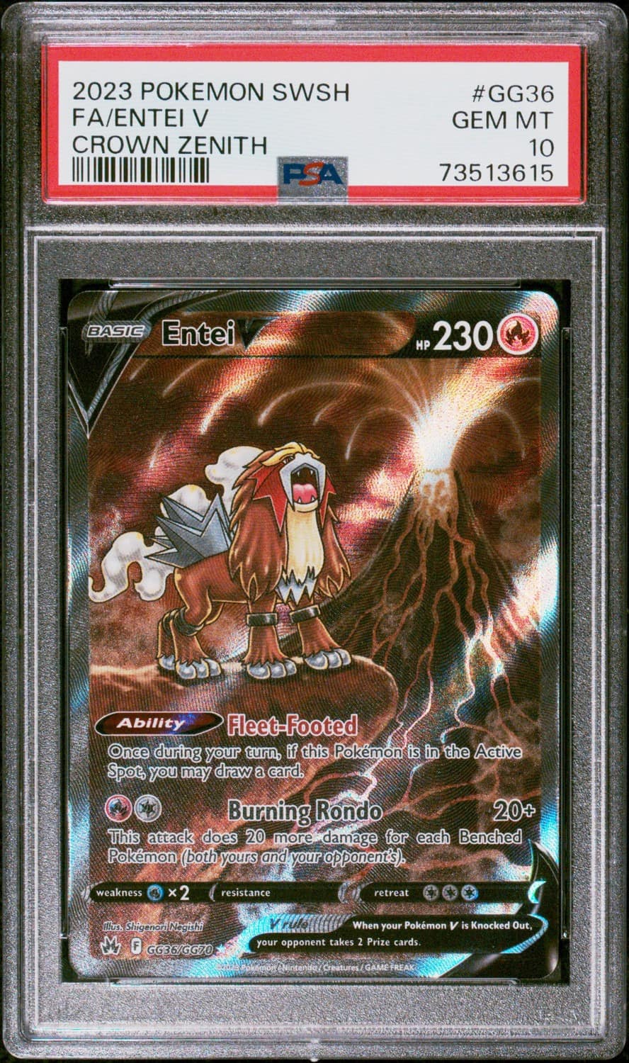 Entei V
