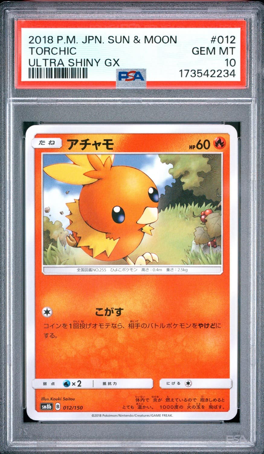 Torchic