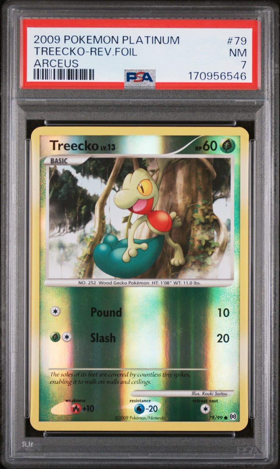 Treecko