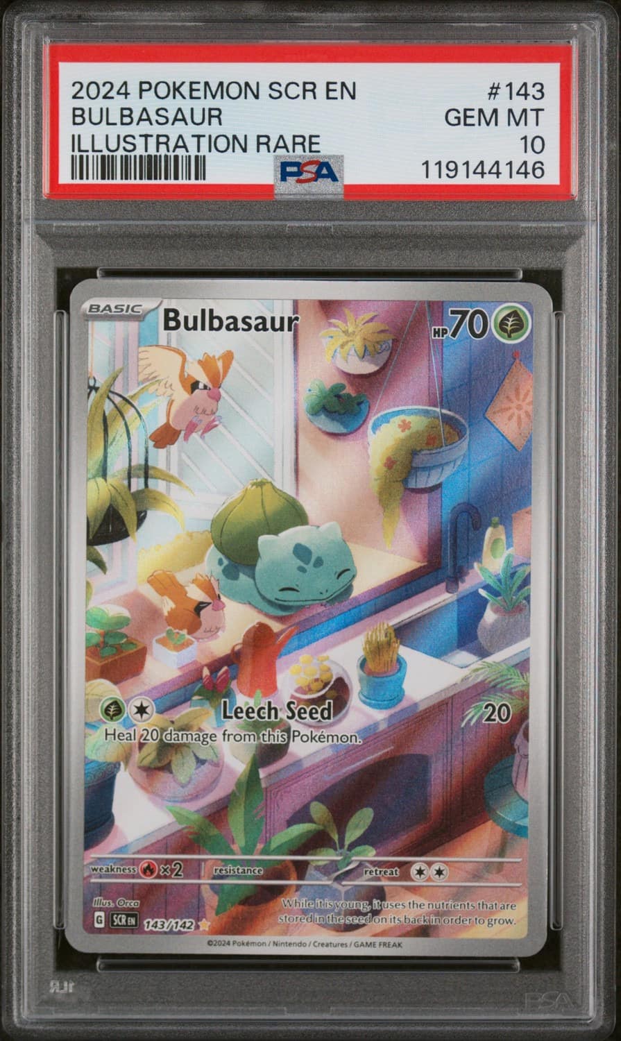Bulbasaur