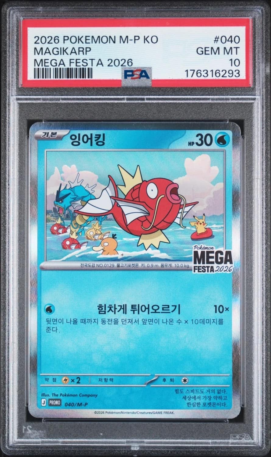Magikarp
