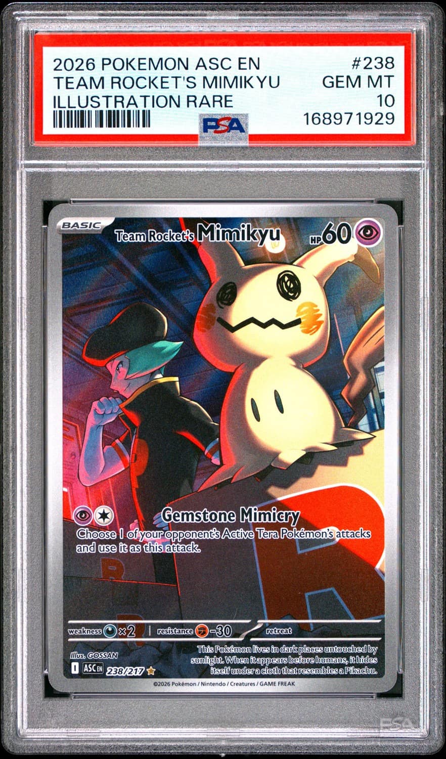 Team Rocket'S Mimikyu