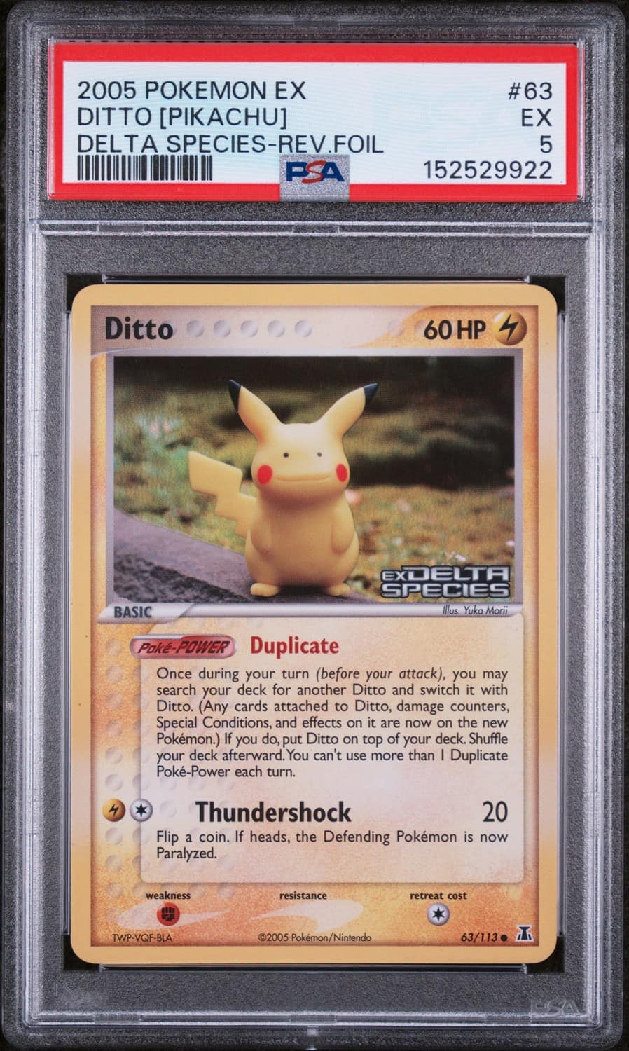 Ditto [pikachu]