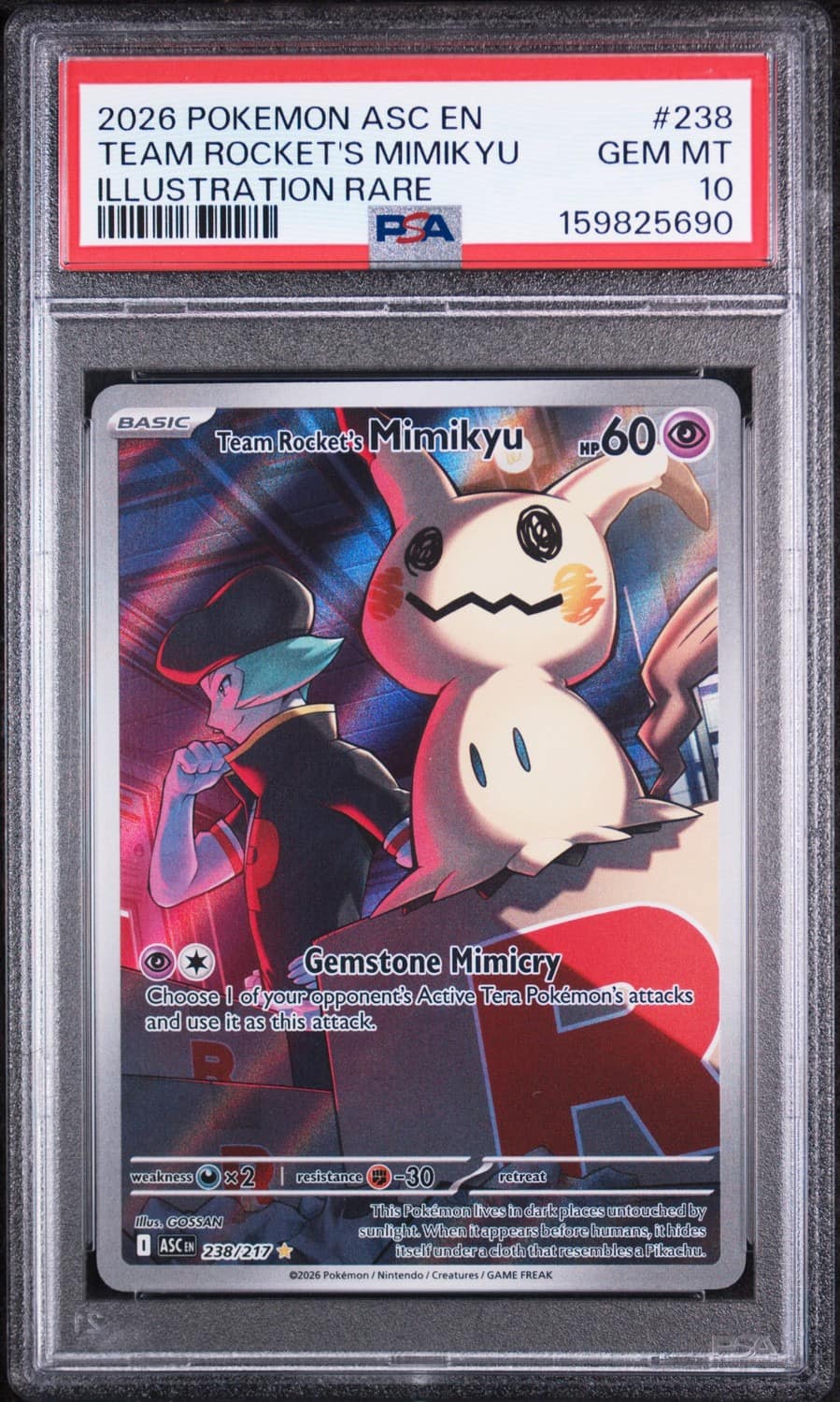 Team Rocket'S Mimikyu
